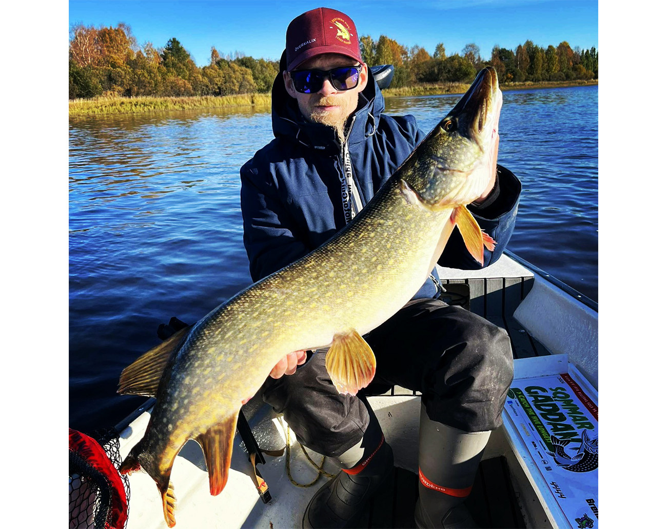 Holmström Bait Walle Boi